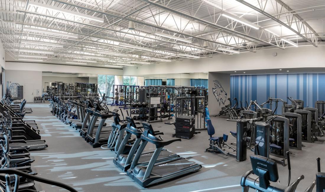 Facilities and Informal Recreation St. Edward's University in Austin